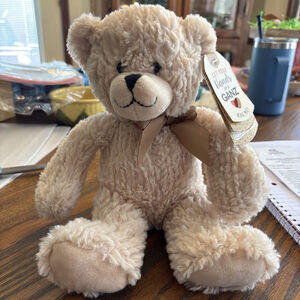 Ganz Gray My Teddy Bear 11" Plush Bow Stuffed Teddy Baby Toy Button Eyes NWT